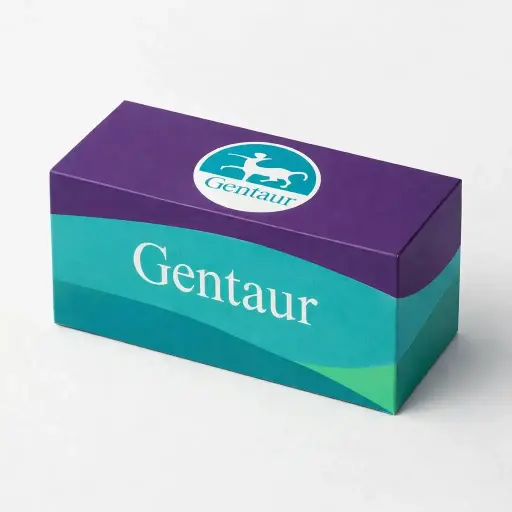 L-DNA dC 2 umol scale