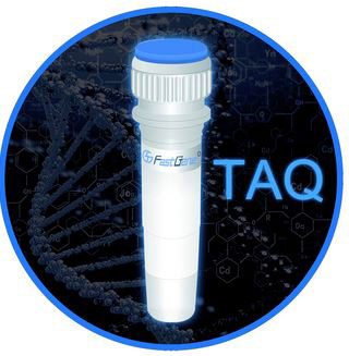 Taq DNA Polymerase