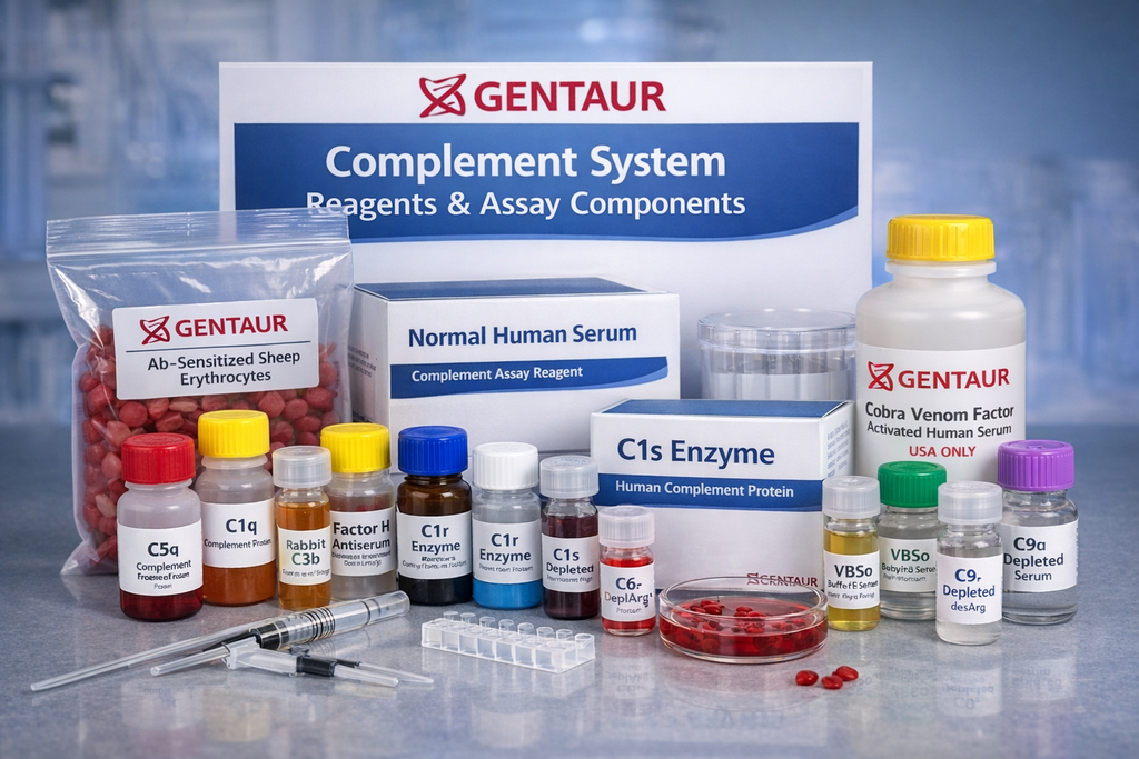C4 Human Complement Proteins